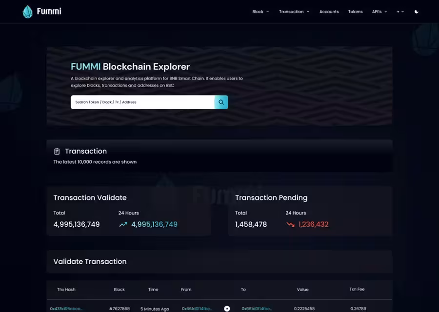 FUMMI Blockchain Explorer Preview