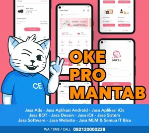 Pembuatan Aplikasi Demak Murah