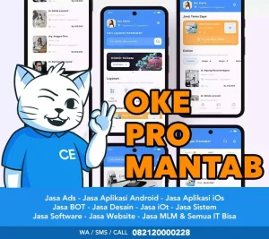 Pembuatan Aplikasi Serang Murah