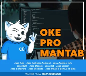 Software House Pandeglang Terbaik