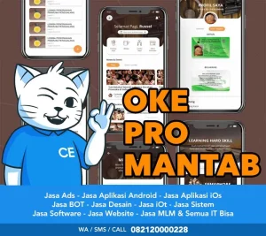 Pembuatan Aplikasi Tengerang Selatan