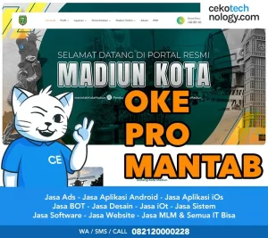 Pembuatan Website Instansi Dinas