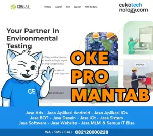 Pembuatan Website Buduran