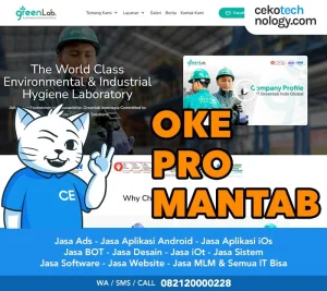 Pembuatan Website Ngoro