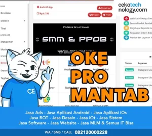 Pembuatan Website Pulsa Otomatis