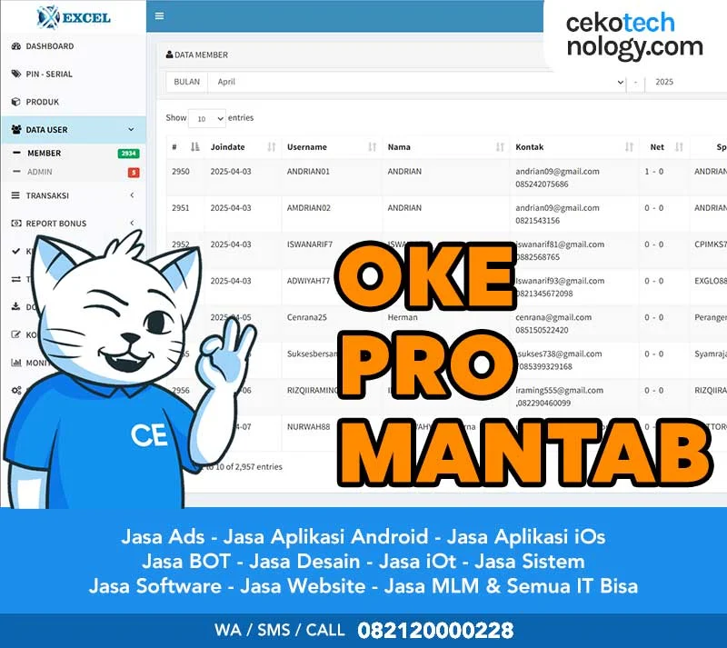 Jasa Website MLM Murah