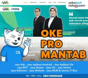 Jasa Pembuatan Website Blora