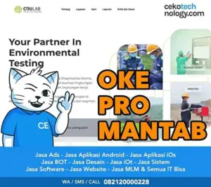 Jasa Pembuatan Website Depok